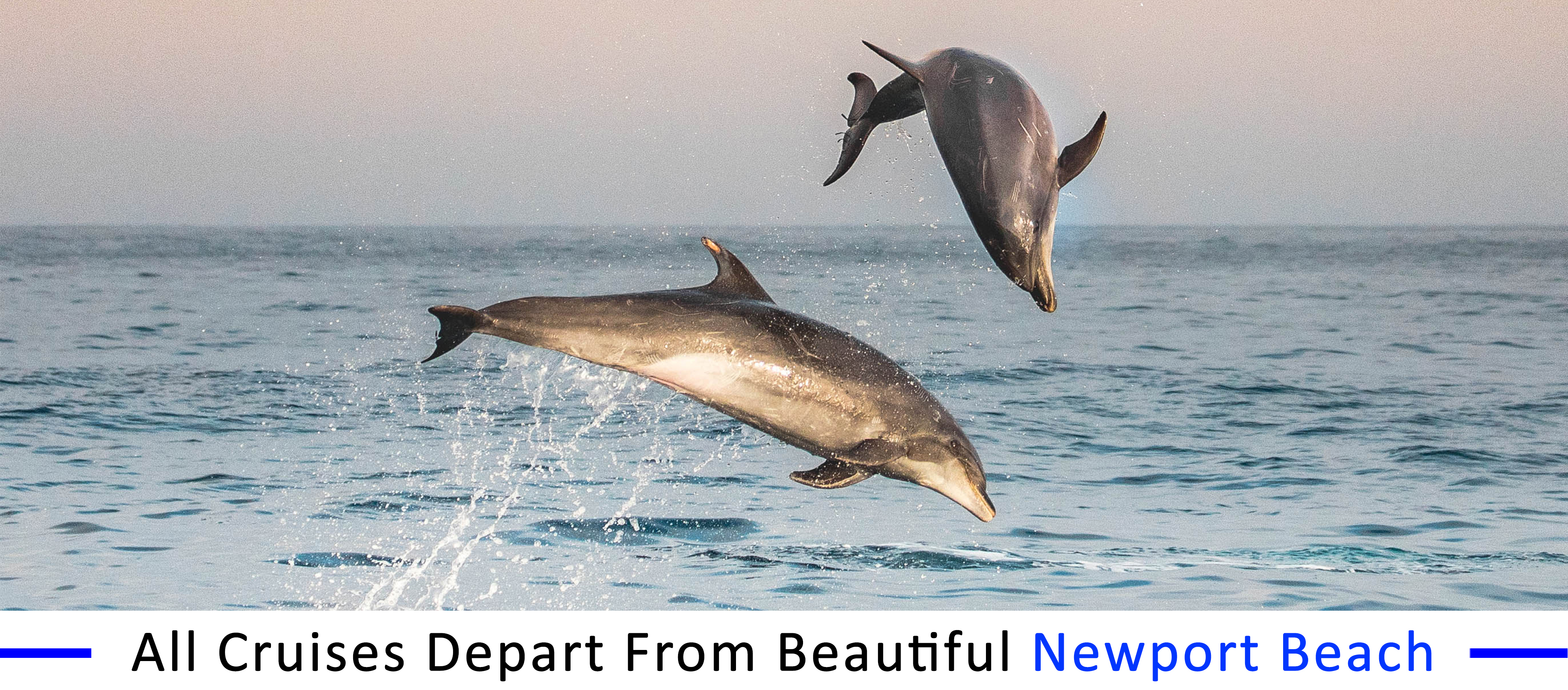 inexpensive-boat-rentals-catalina-island