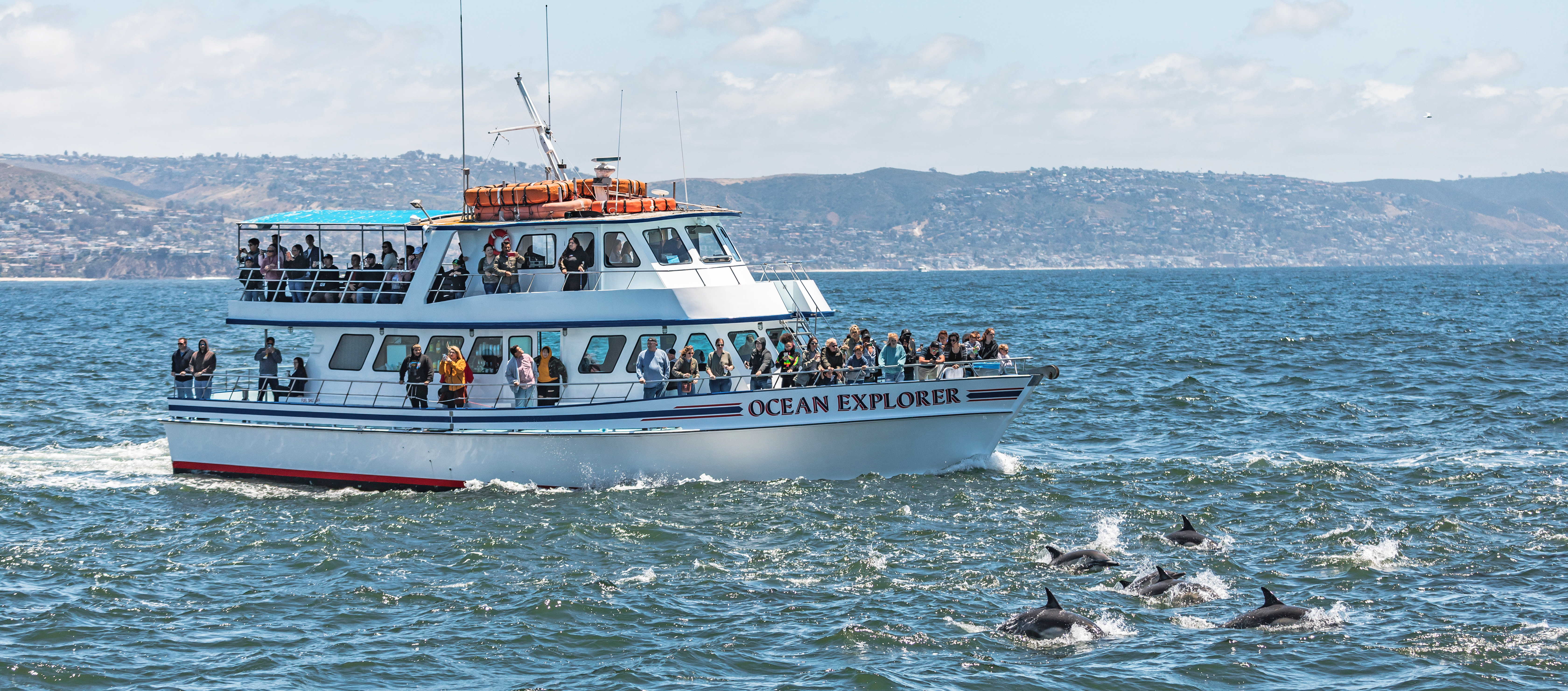 whale-watching-catalina-island-field-trips